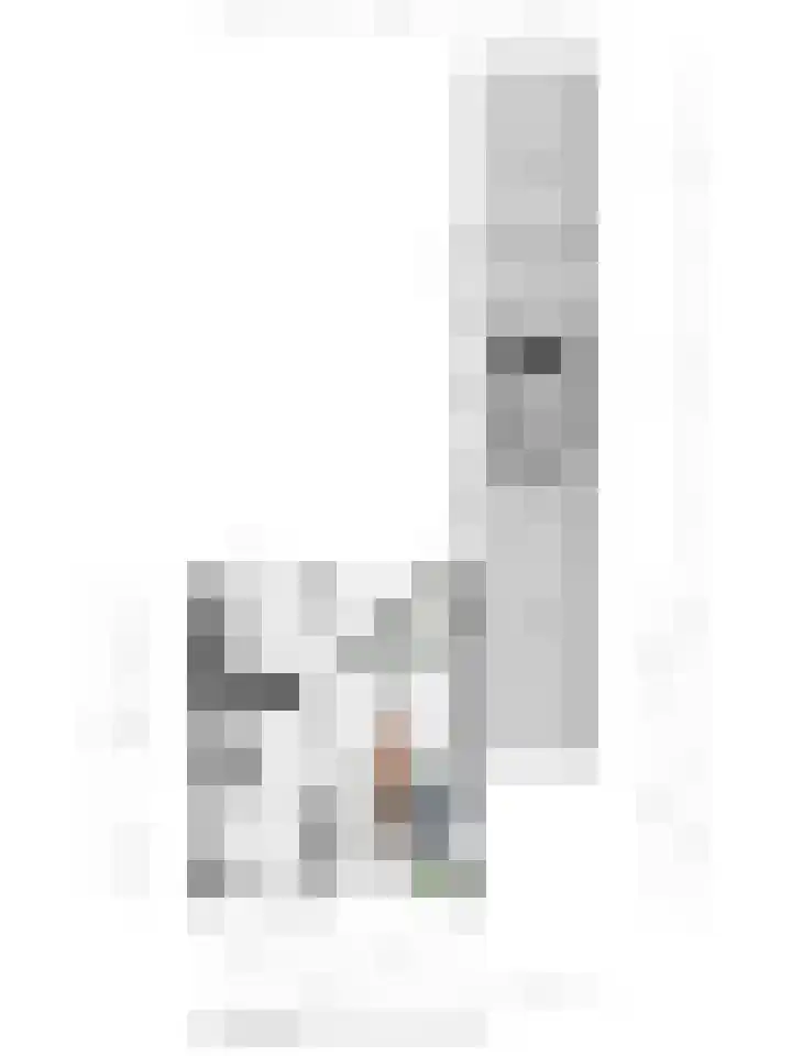 Kastanjelaan 10 Raalte thumbnail 32