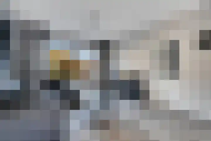 Kastanjelaan 10 Raalte thumbnail 4