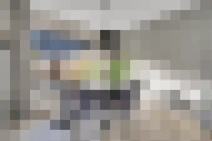 Kastanjelaan 10 Raalte thumbnail 7
