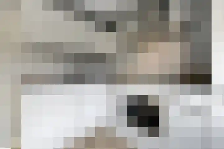 Kastanjelaan 10 Raalte thumbnail 8