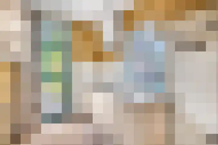 Kastanjelaan 10 Rhenen thumbnail 11