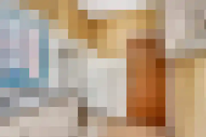 Kastanjelaan 10 Rhenen thumbnail 12