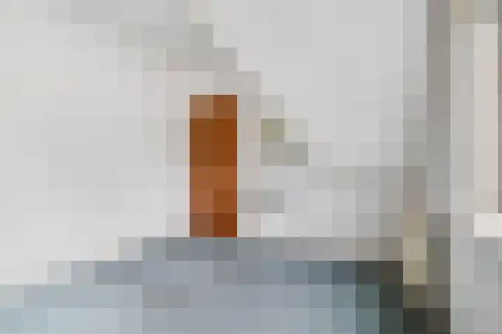 Kastanjelaan 10 Rhenen thumbnail 19