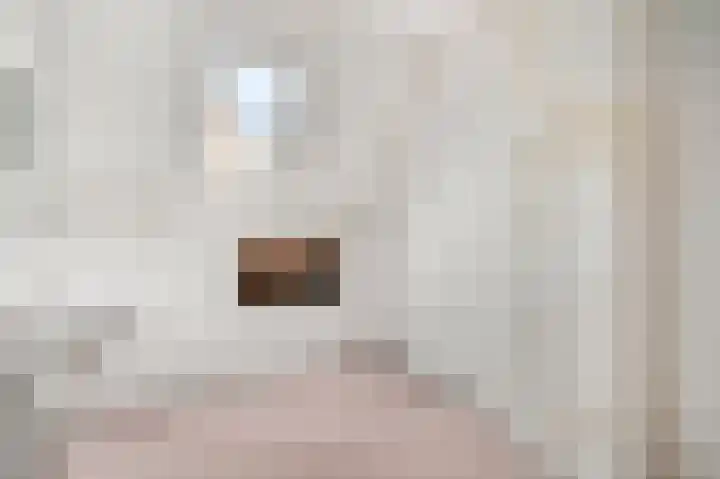 Kastanjelaan 10 Rhenen thumbnail 25