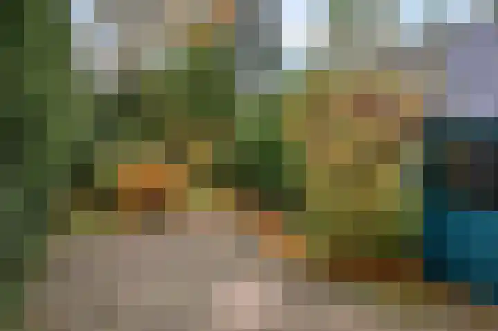 Kastanjelaan 10 Rhenen thumbnail 28