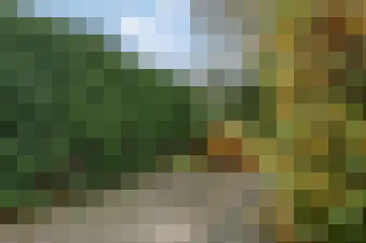 Kastanjelaan 10 Rhenen thumbnail 29