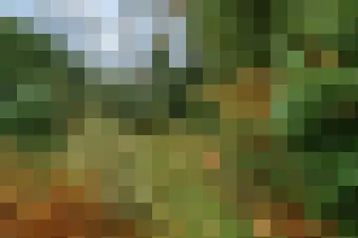 Kastanjelaan 10 Rhenen thumbnail 30