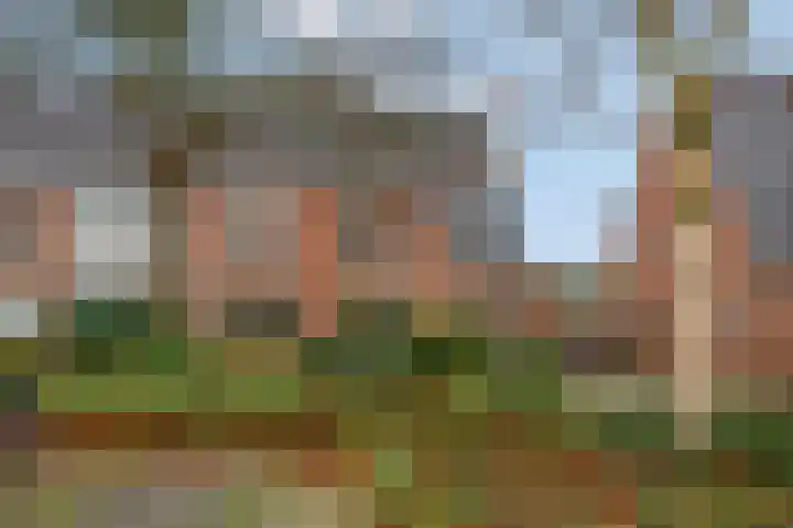 Kastanjelaan 10 Rhenen thumbnail 31