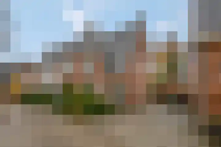 Kastanjelaan 10 Rhenen thumbnail 32