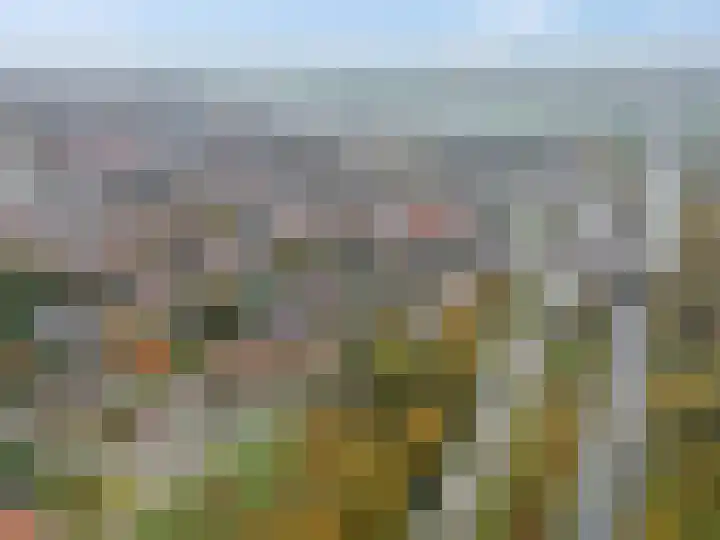Kastanjelaan 10 Rhenen thumbnail 35