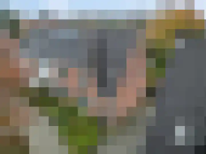 Kastanjelaan 10 Rhenen thumbnail 4