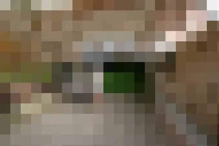 Kastanjelaan 10 Roermond thumbnail 18