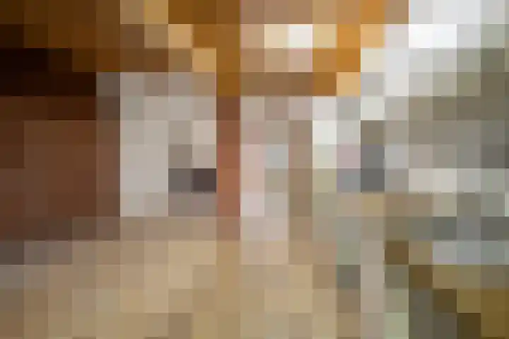 Kastanjelaan 10 Roermond thumbnail 5