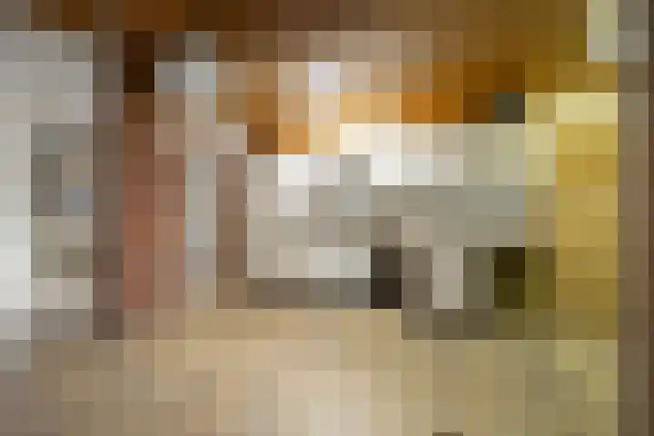 Kastanjelaan 10 Roermond thumbnail 8