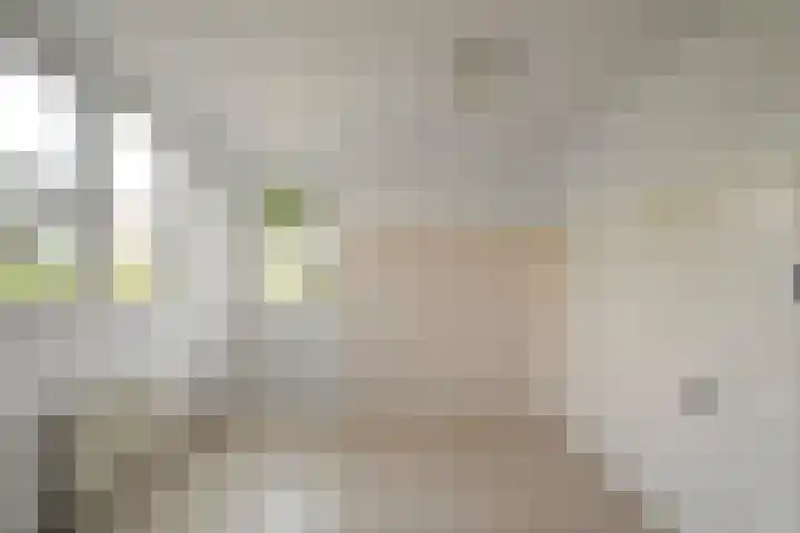 Kastanjelaan 10 Wieringerwaard thumbnail 12