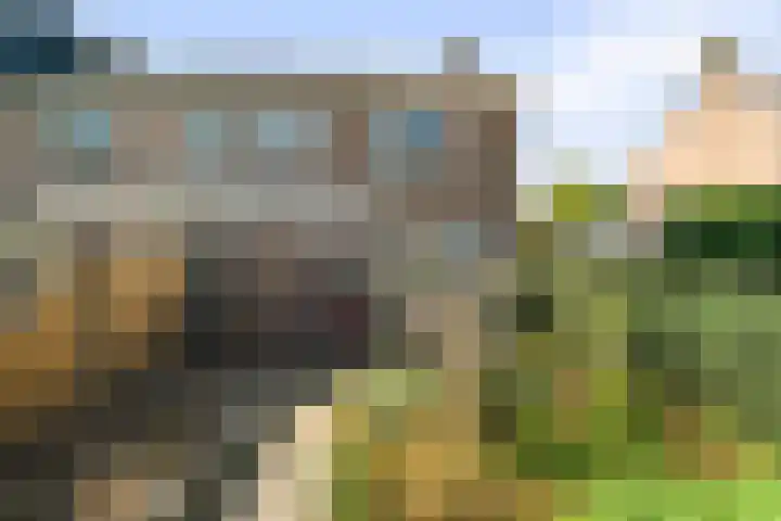 Kastanjelaan 10 Wieringerwaard thumbnail 25