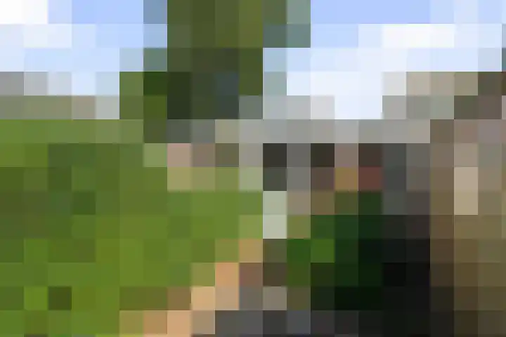 Kastanjelaan 10 Wieringerwaard thumbnail 26