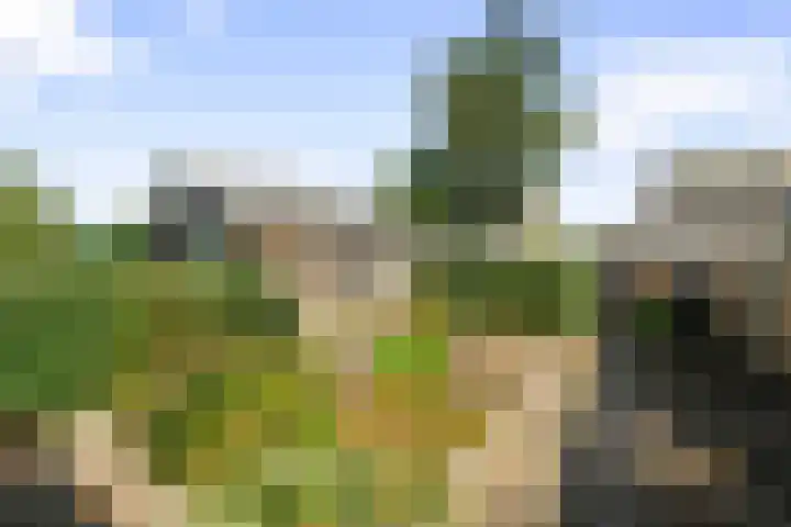 Kastanjelaan 10 Wieringerwaard thumbnail 27