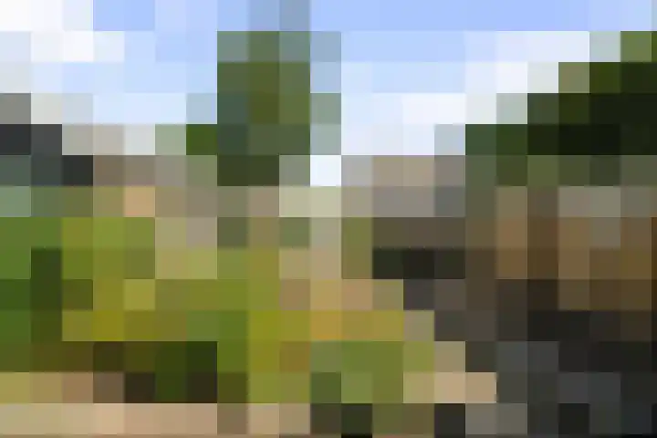 Kastanjelaan 10 Wieringerwaard thumbnail 4
