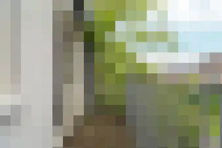 Kastanjelaan 104 Nijmegen thumbnail 13