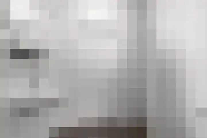 Kastanjelaan 104 Nijmegen thumbnail 18