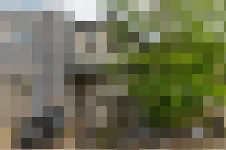 Kastanjelaan 104 Nijmegen thumbnail 25
