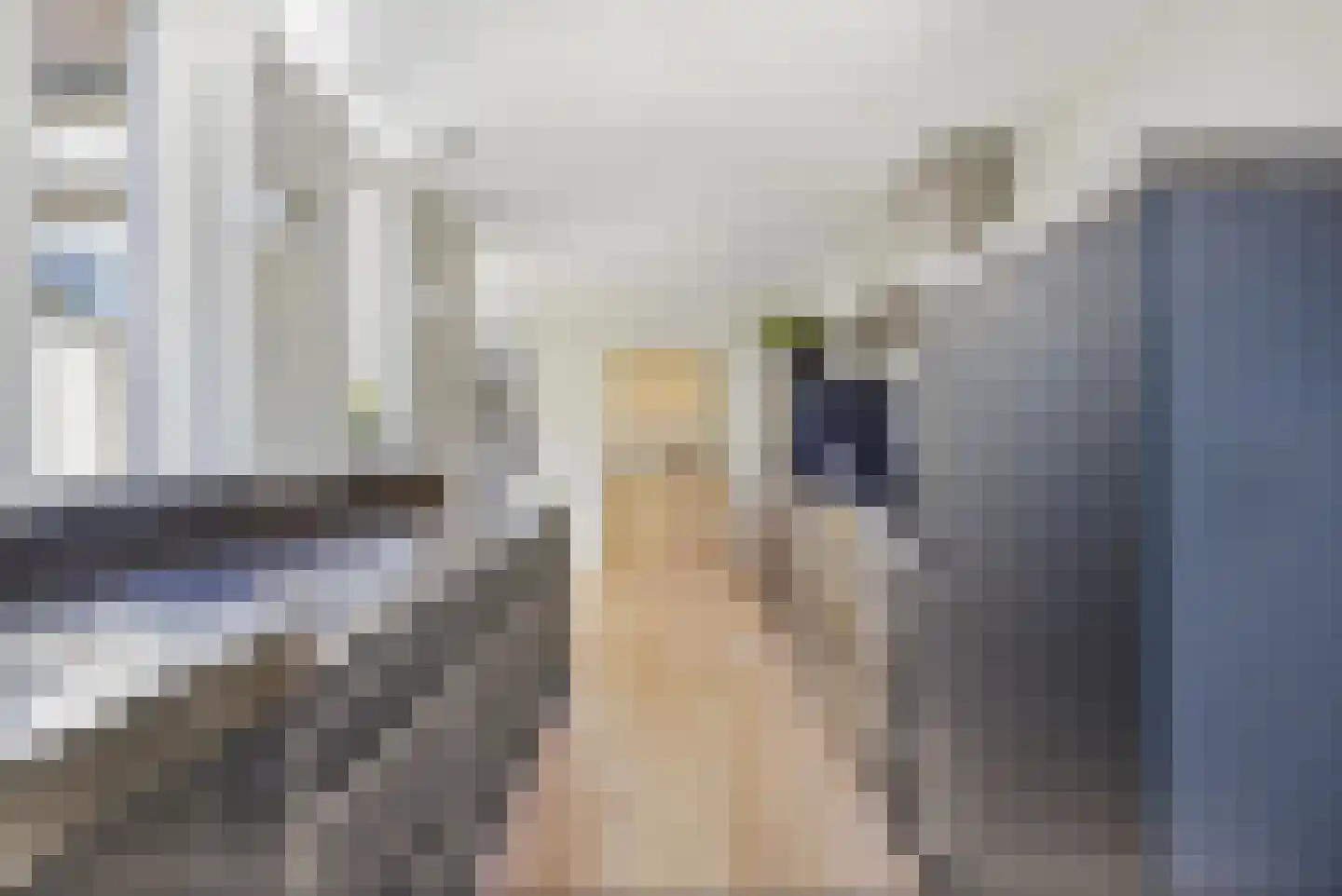 Kastanjelaan 106 Made thumbnail 17