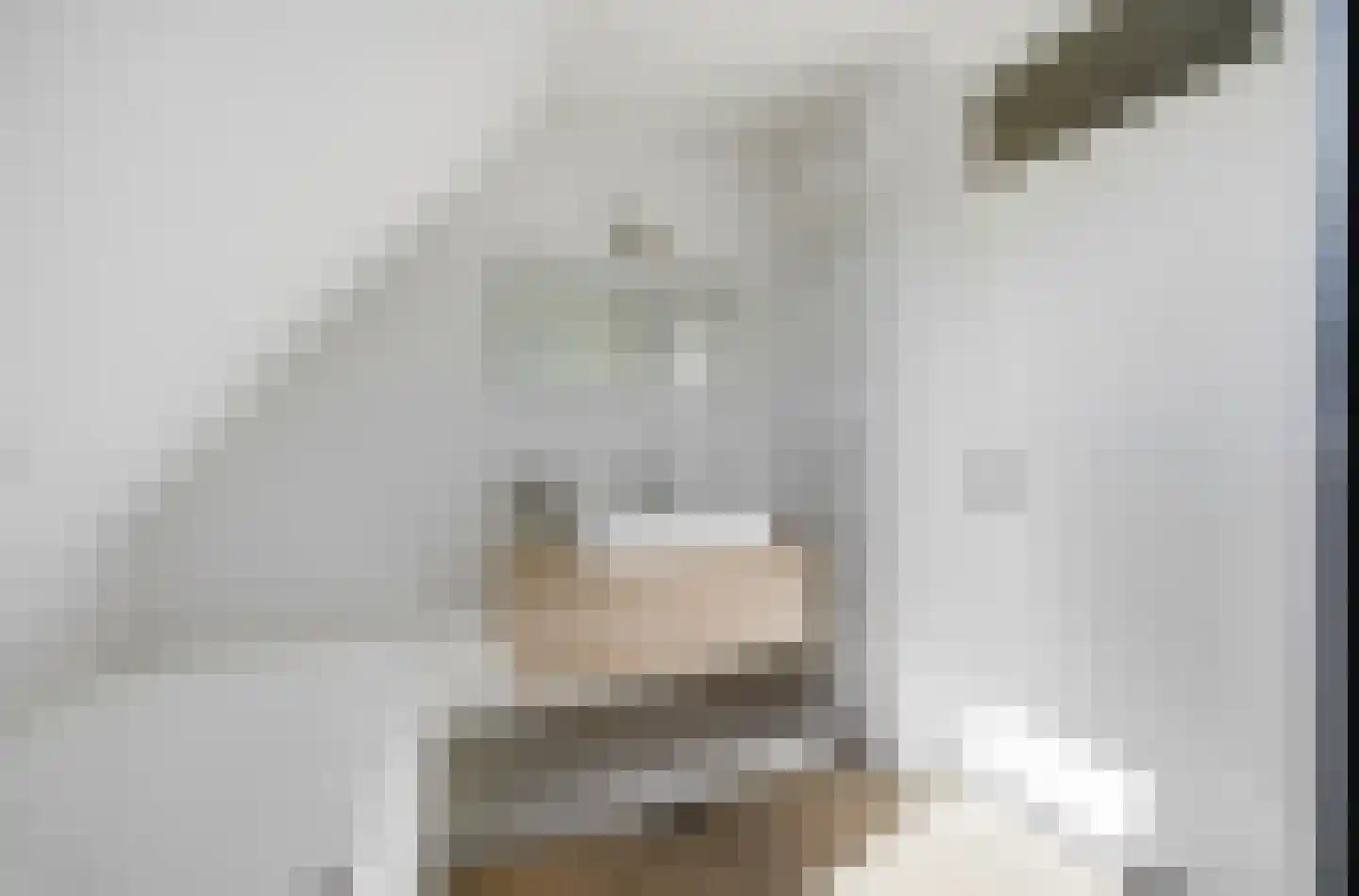Kastanjelaan 106 Made thumbnail 20