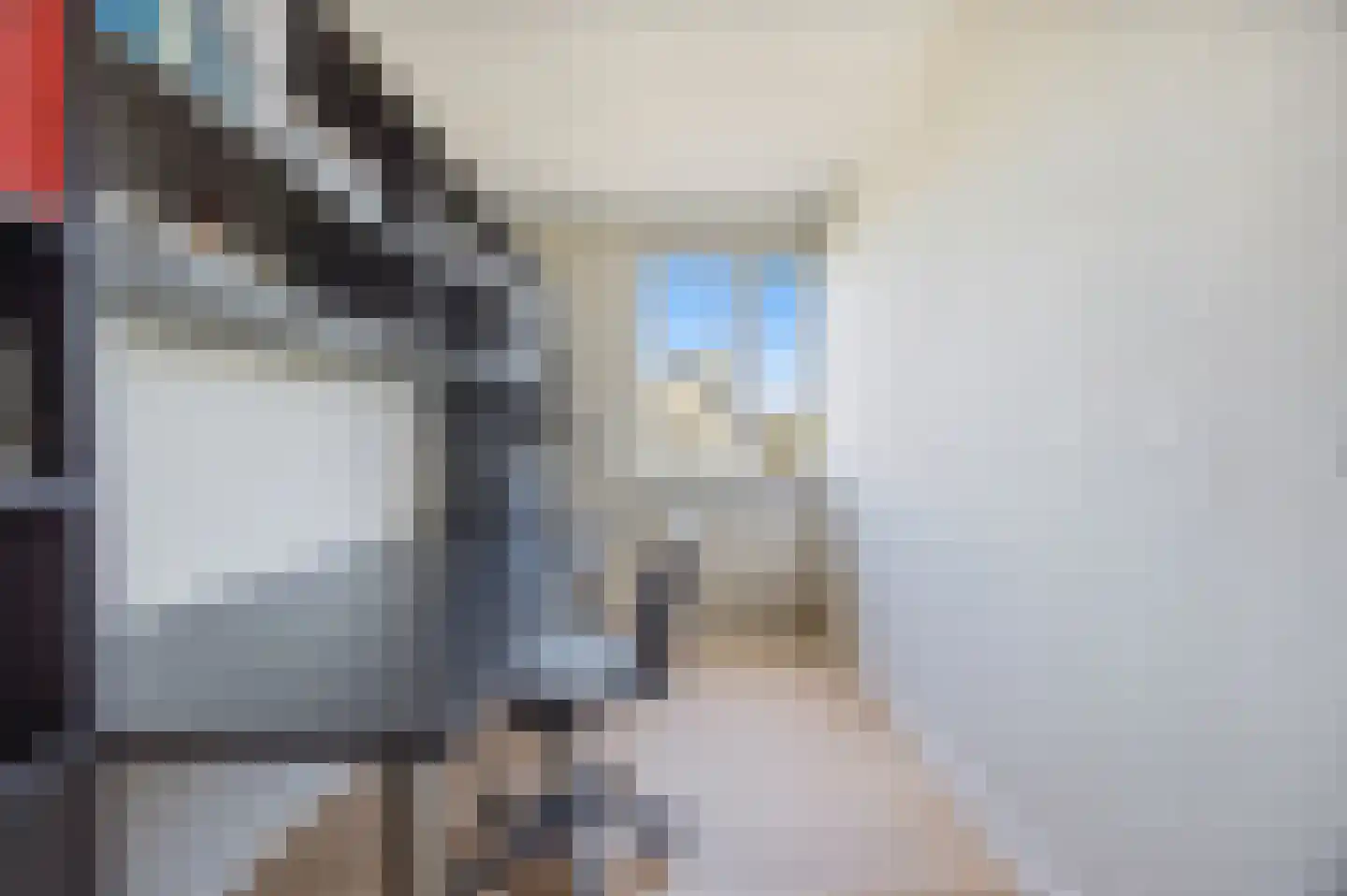 Kastanjelaan 106 Made thumbnail 25