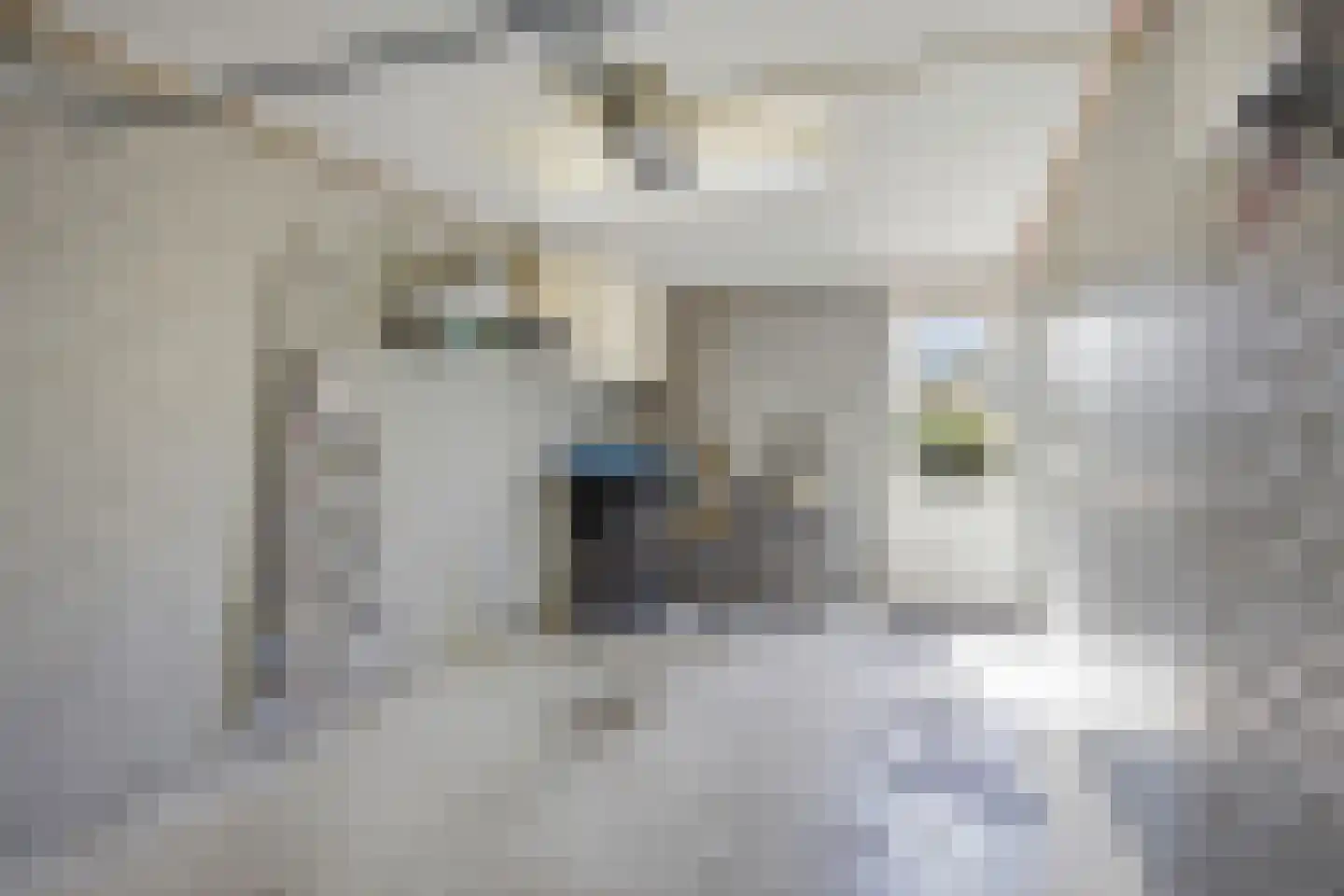 Kastanjelaan 106 Made thumbnail 36