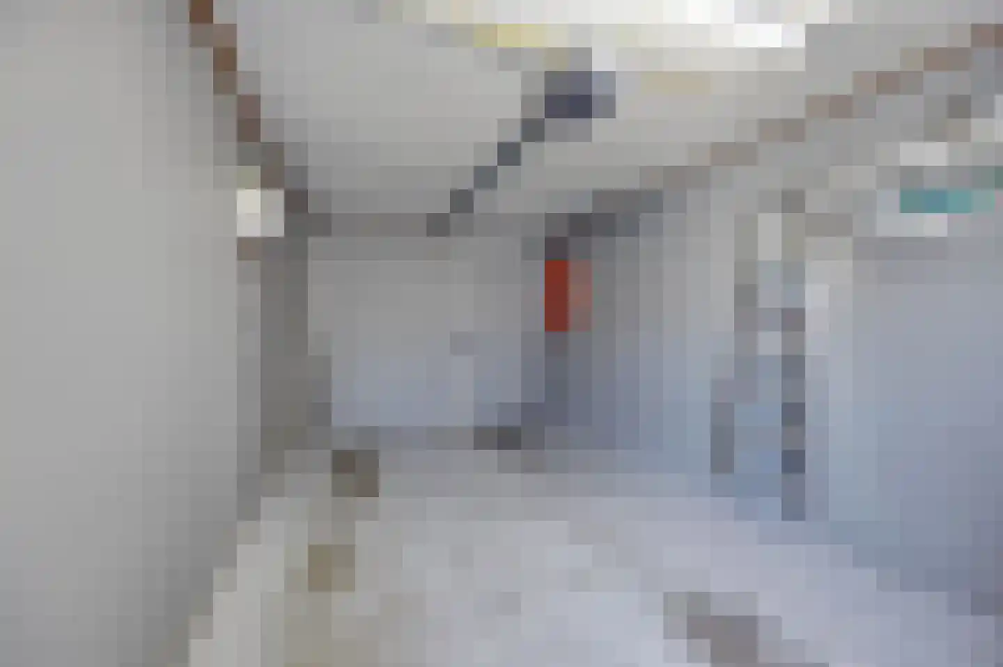 Kastanjelaan 106 Made thumbnail 37
