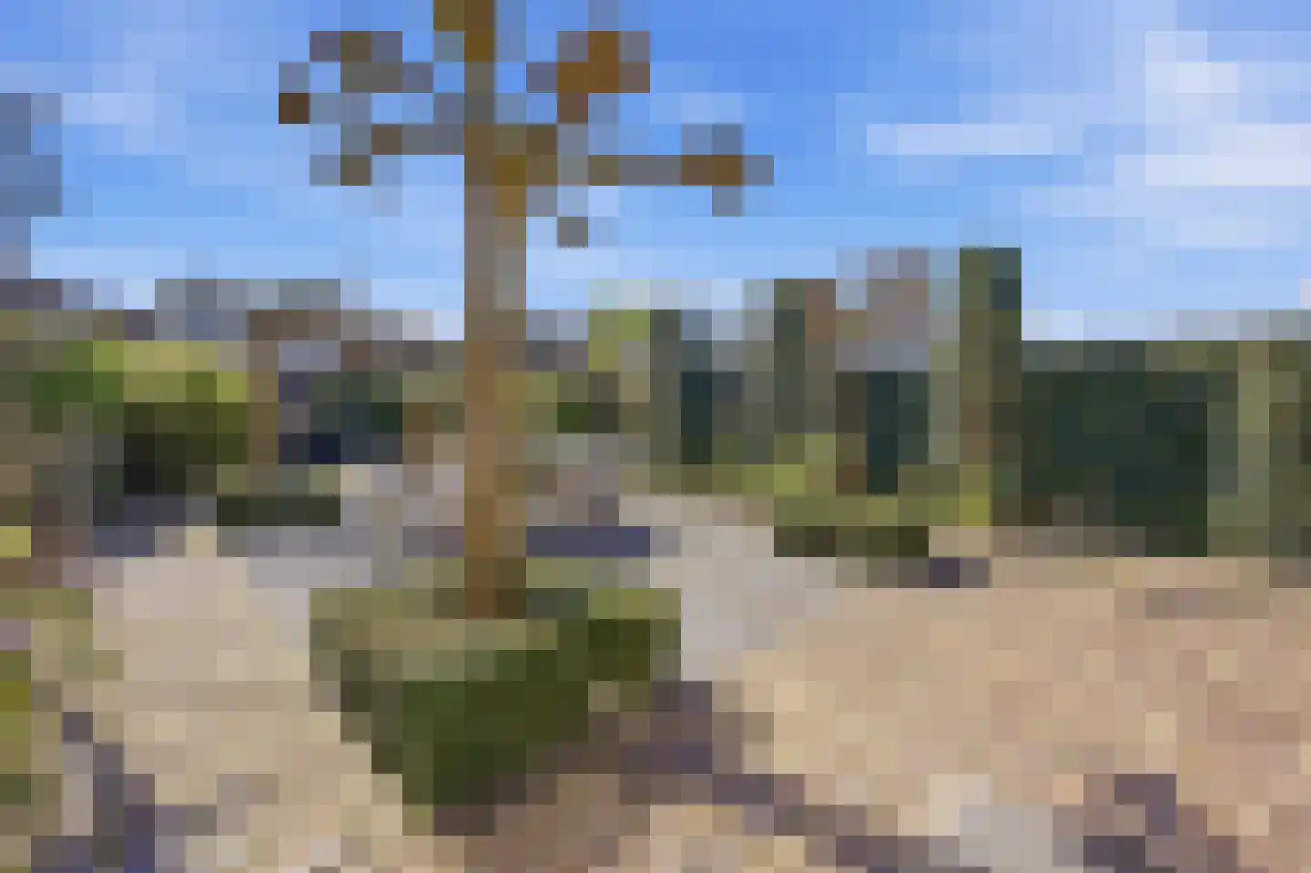 Kastanjelaan 106 Made thumbnail 43