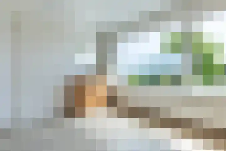 Kastanjelaan 107 Bergen op Zoom thumbnail 17