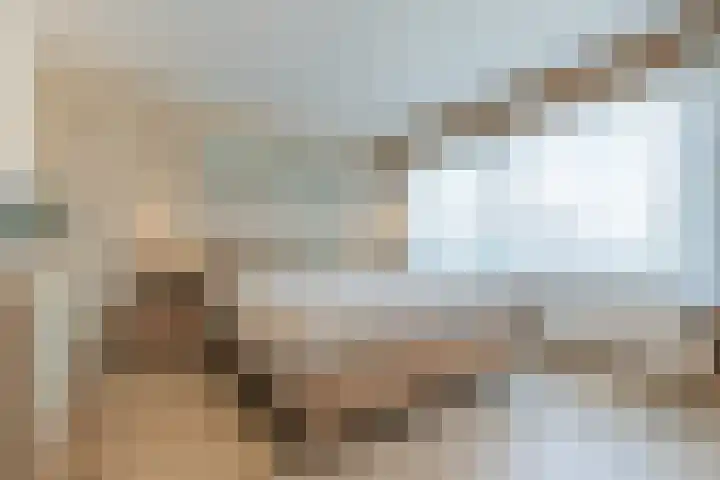 Kastanjelaan 107 Bergen op Zoom thumbnail 18