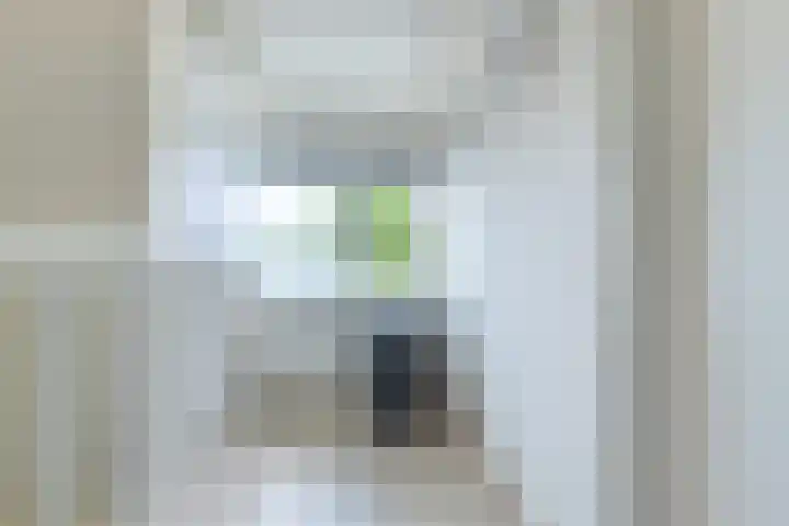 Kastanjelaan 107 Bergen op Zoom thumbnail 30