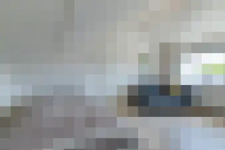 Kastanjelaan 107 Bergen op Zoom thumbnail 32