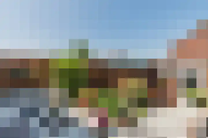 Kastanjelaan 107 Bergen op Zoom thumbnail 35