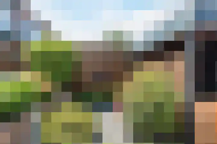 Kastanjelaan 107 Bergen op Zoom thumbnail 37