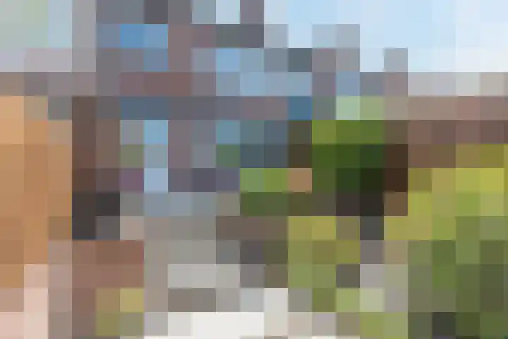 Kastanjelaan 107 Bergen op Zoom thumbnail 38