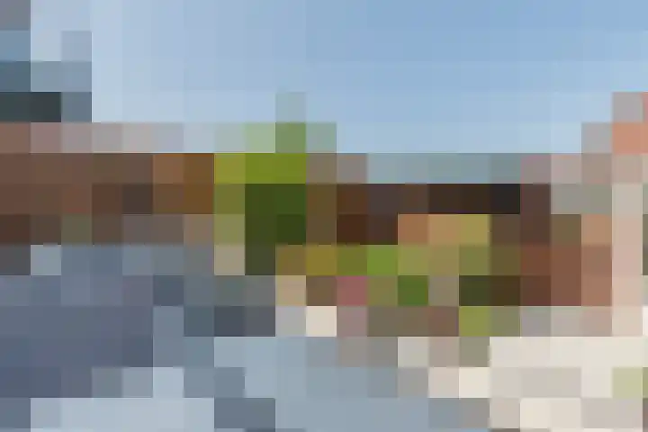 Kastanjelaan 107 Bergen op Zoom thumbnail 42