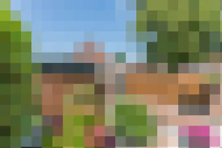 Kastanjelaan 107 Bergen op Zoom thumbnail 43