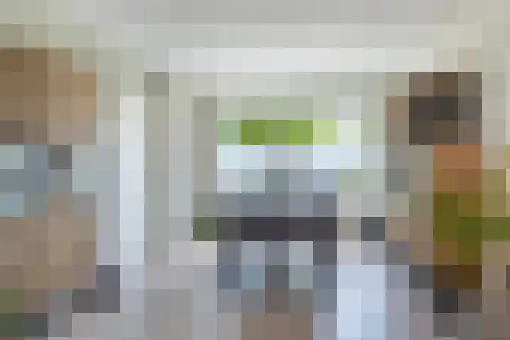 Kastanjelaan 107 Bergen op Zoom thumbnail 6