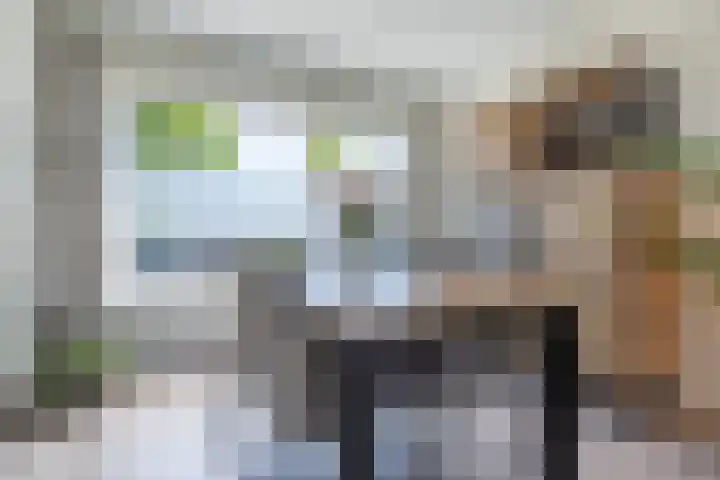 Kastanjelaan 107 Bergen op Zoom thumbnail 7