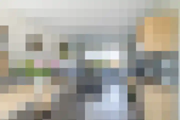 Kastanjelaan 107 Bergen op Zoom thumbnail 8
