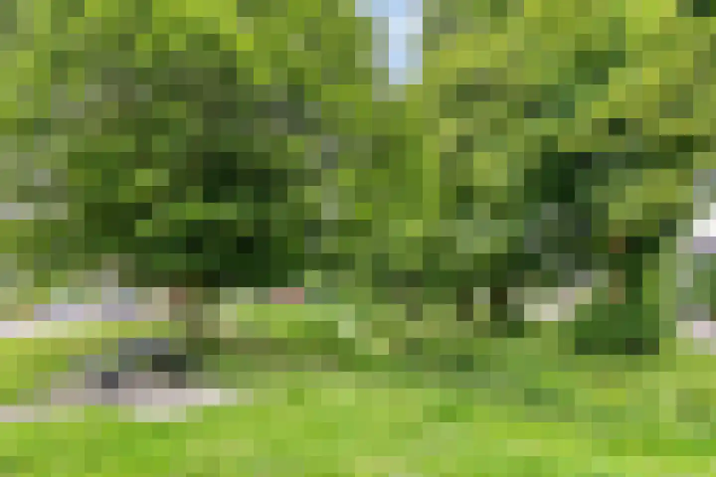Kastanjelaan 109 Winschoten thumbnail 29