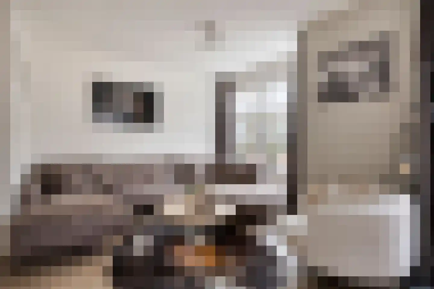 Kastanjelaan 11 Alphen thumbnail 10