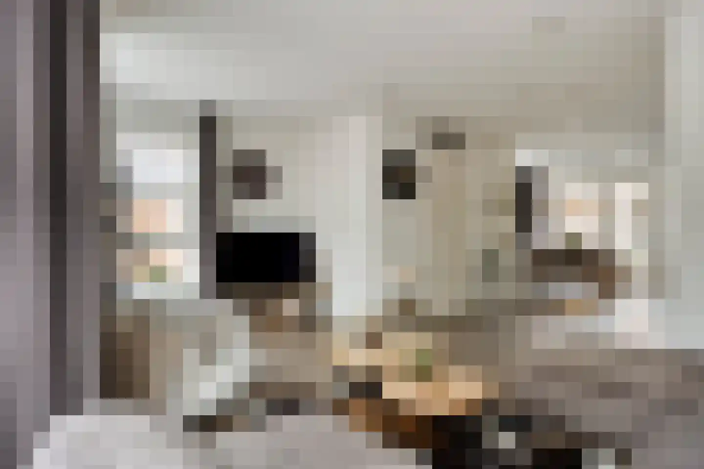 Kastanjelaan 11 Alphen thumbnail 11