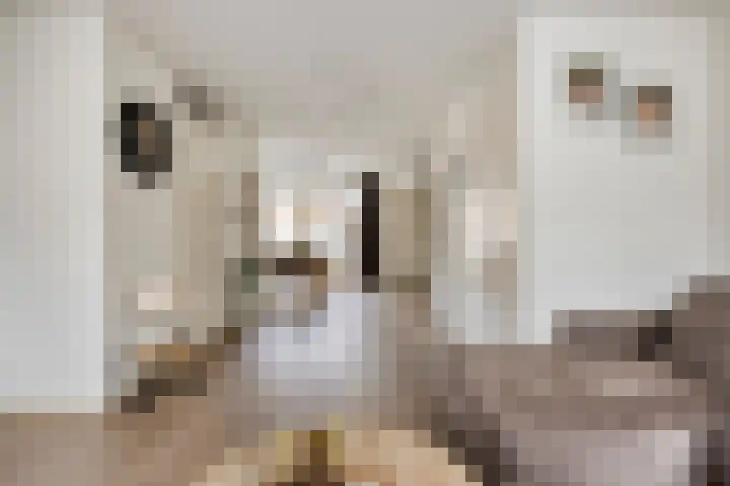 Kastanjelaan 11 Alphen thumbnail 12
