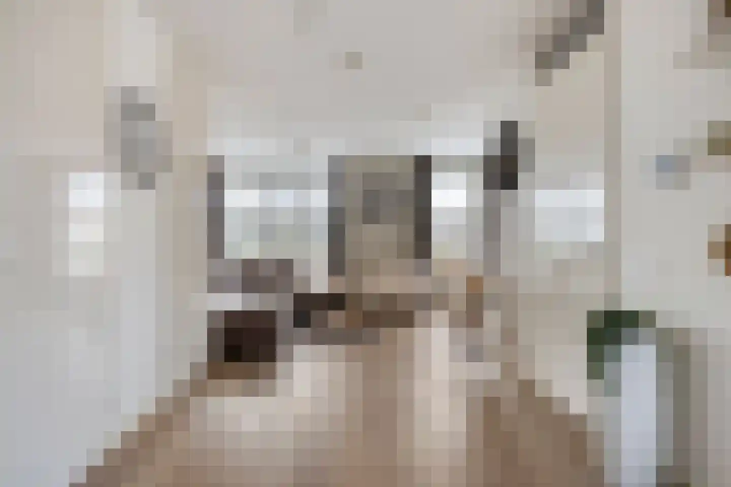 Kastanjelaan 11 Alphen thumbnail 13