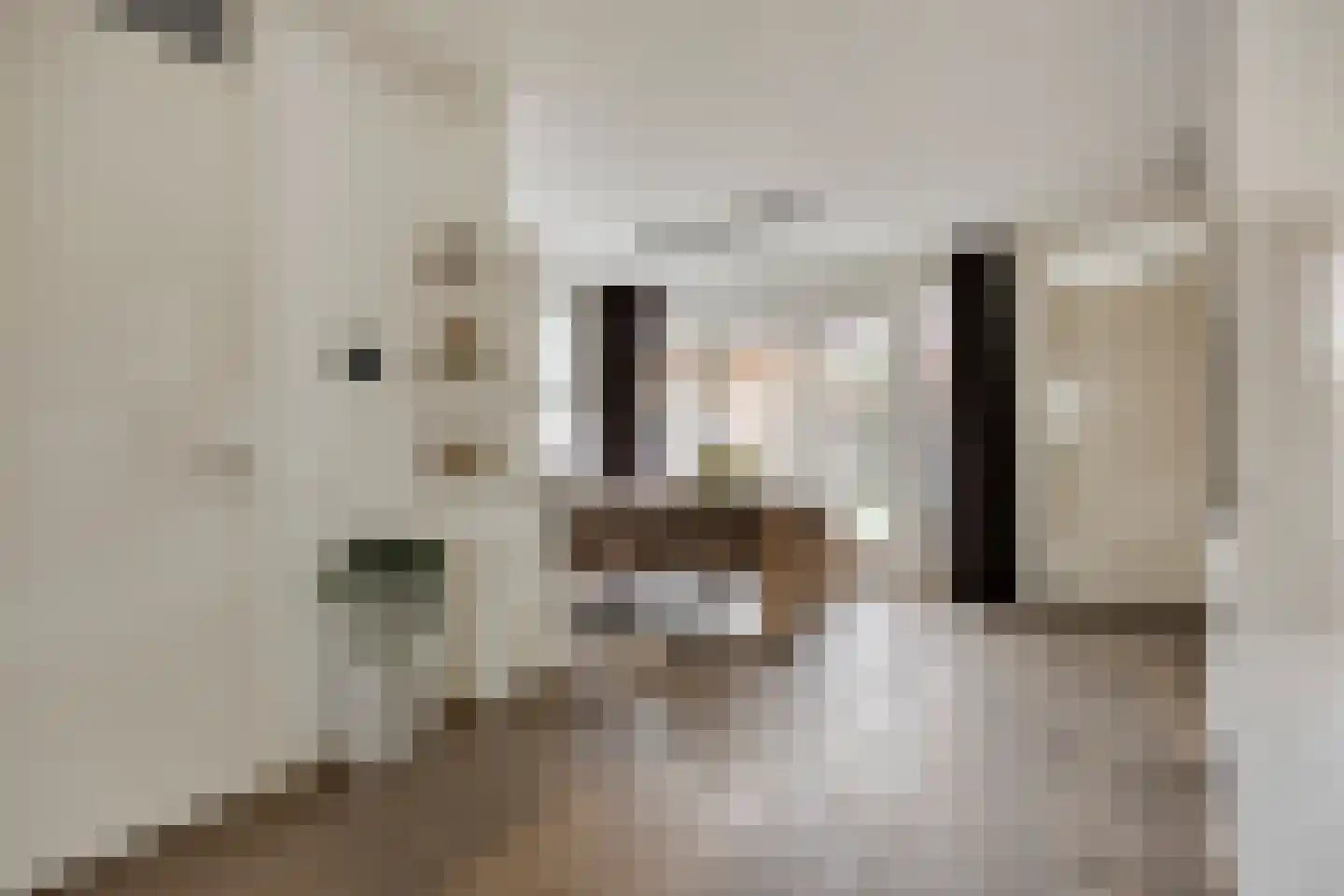 Kastanjelaan 11 Alphen thumbnail 14